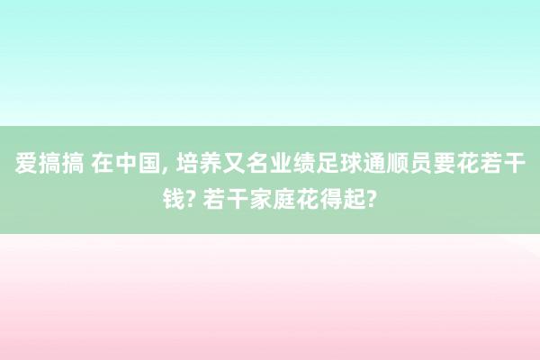 爱搞搞 在中国， 培养又名业绩足球通顺员要花若干钱? 若干家庭花得起?