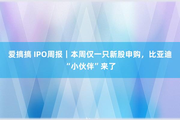 爱搞搞 IPO周报｜本周仅一只新股申购，比亚迪“小伙伴”来了