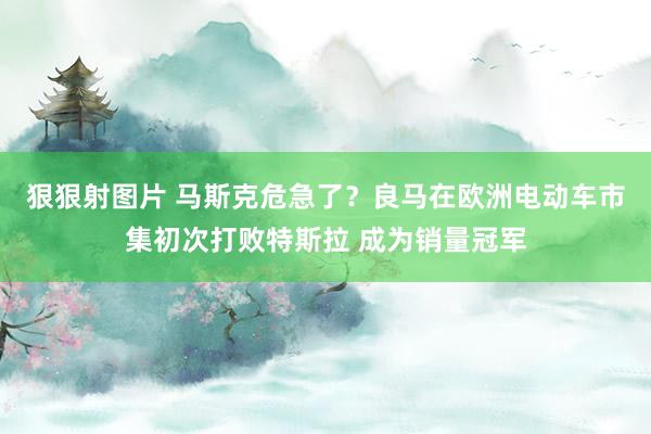 狠狠射图片 马斯克危急了？良马在欧洲电动车市集初次打败特斯拉 成为销量冠军