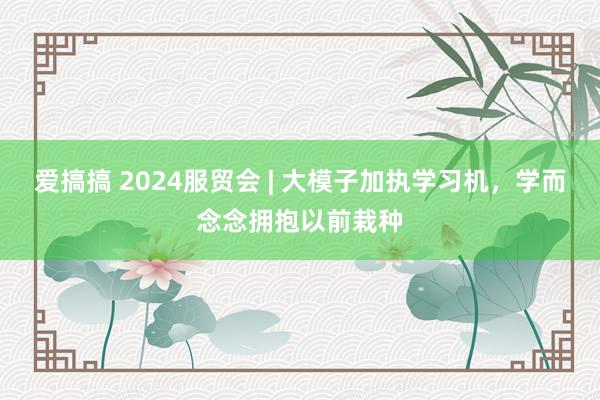 爱搞搞 2024服贸会 | 大模子加执学习机，学而念念拥抱以前栽种