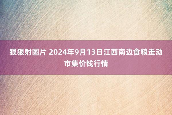 狠狠射图片 2024年9月13日江西南边食粮走动市集价钱行情