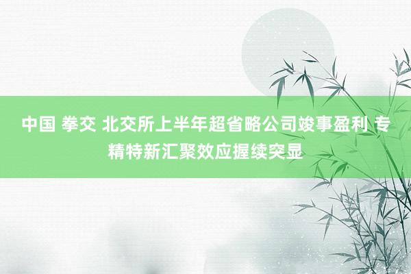 中国 拳交 北交所上半年超省略公司竣事盈利 专精特新汇聚效应握续突显