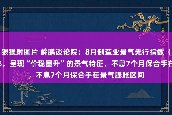 狠狠射图片 岭鹏谈论院：8月制造业景气先行指数（LIMP）为55.8，呈现“价稳量升”的景气特征，不息7个月保合手在景气膨胀区间