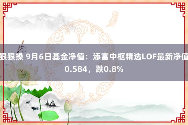 狠狠操 9月6日基金净值：添富中枢精选LOF最新净值0.584，跌0.8%