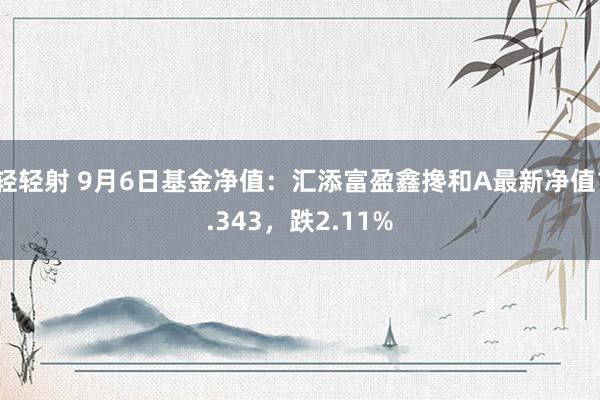 轻轻射 9月6日基金净值：汇添富盈鑫搀和A最新净值1.343，跌2.11%