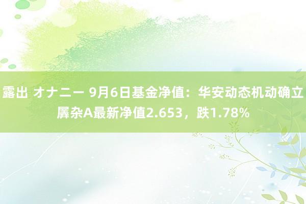 露出 オナニー 9月6日基金净值：华安动态机动确立羼杂A最新净值2.653，跌1.78%