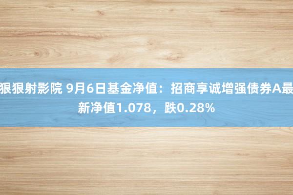 狠狠射影院 9月6日基金净值：招商享诚增强债券A最新净值1.078，跌0.28%