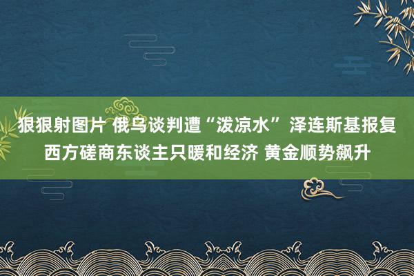 狠狠射图片 俄乌谈判遭“泼凉水” 泽连斯基报复西方磋商东谈主只暖和经济 黄金顺势飙升