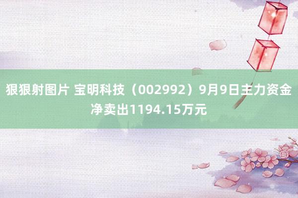 狠狠射图片 宝明科技（002992）9月9日主力资金净卖出1194.15万元