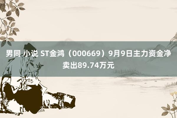 男同 小说 ST金鸿（000669）9月9日主力资金净卖出89.74万元