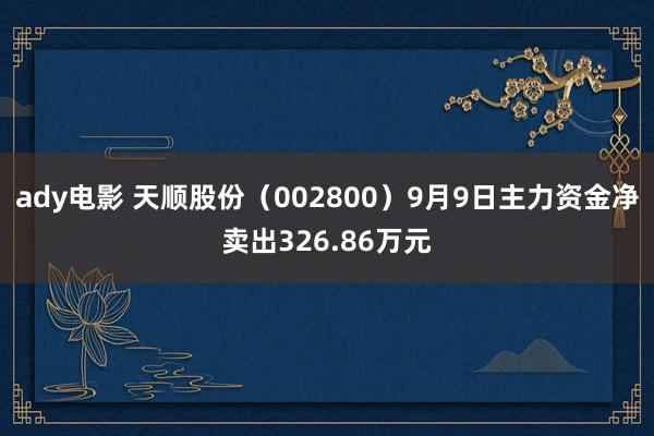 ady电影 天顺股份（002800）9月9日主力资金净卖出326.86万元