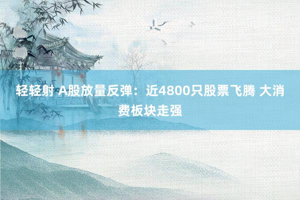 轻轻射 A股放量反弹：近4800只股票飞腾 大消费板块走强