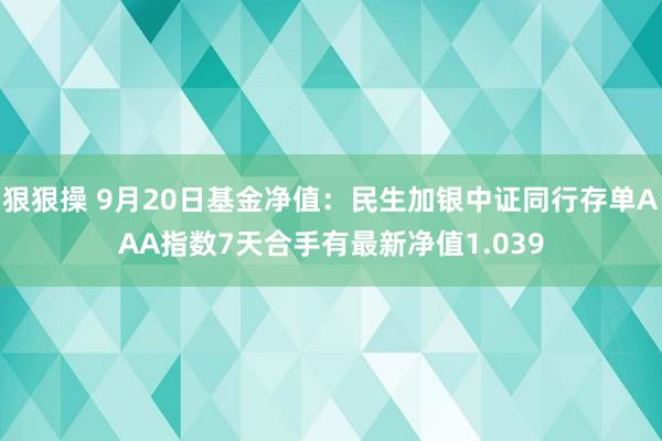 狠狠操 9月20日基金净值：民生加银中证同行存单AAA指数7天合手有最新净值1.039