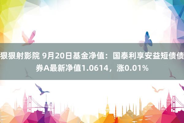 狠狠射影院 9月20日基金净值：国泰利享安益短债债券A最新净值1.0614，涨0.01%