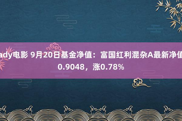 ady电影 9月20日基金净值：富国红利混杂A最新净值0.9048，涨0.78%