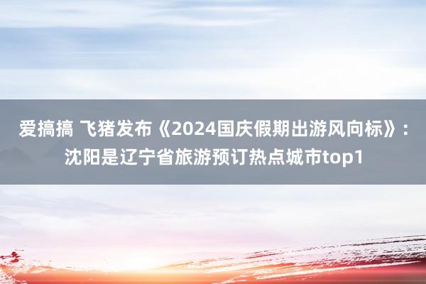 爱搞搞 飞猪发布《2024国庆假期出游风向标》：沈阳是辽宁省旅游预订热点城市top1