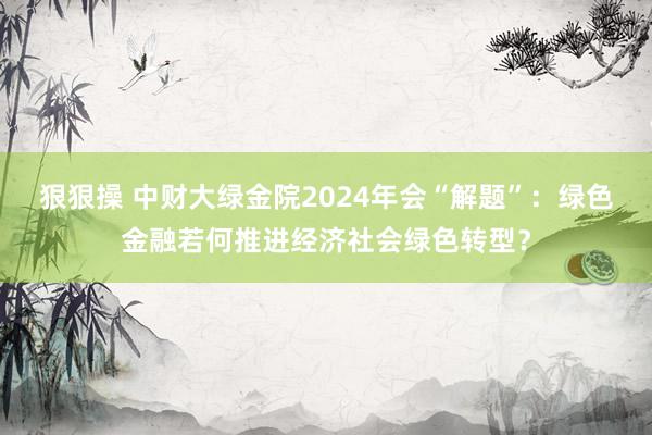 狠狠操 中财大绿金院2024年会“解题”：绿色金融若何推进经济社会绿色转型？