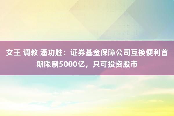 女王 调教 潘功胜：证券基金保障公司互换便利首期限制5000亿，只可投资股市