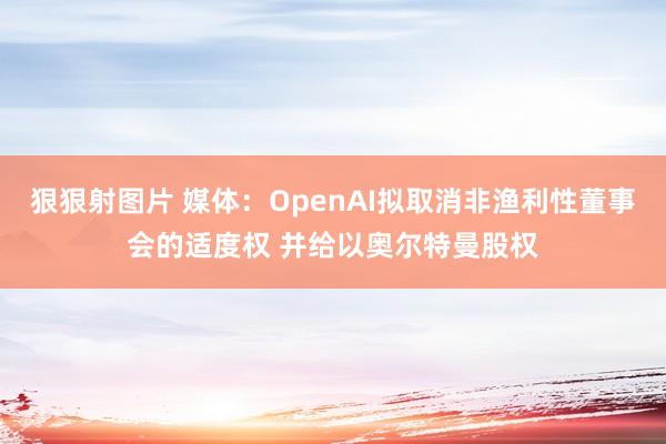 狠狠射图片 媒体：OpenAI拟取消非渔利性董事会的适度权 并给以奥尔特曼股权