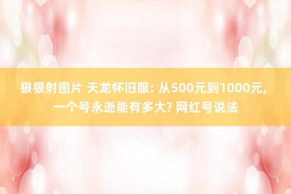 狠狠射图片 天龙怀旧服: 从500元到1000元， 一个号永逝能有多大? 网红号说法