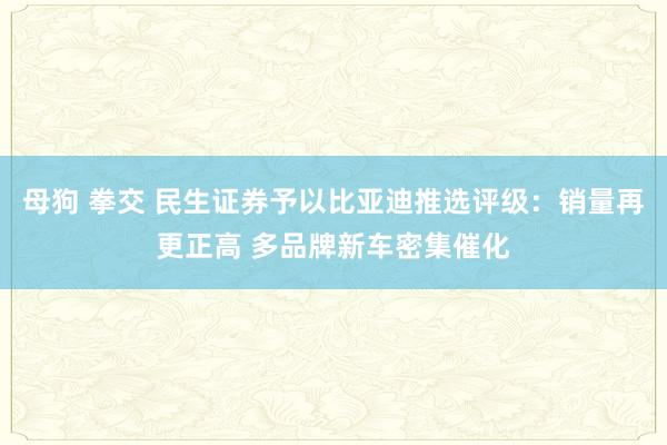 母狗 拳交 民生证券予以比亚迪推选评级：销量再更正高 多品牌新车密集催化