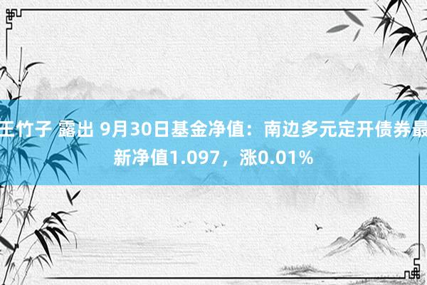 王竹子 露出 9月30日基金净值：南边多元定开债券最新净值1.097，涨0.01%