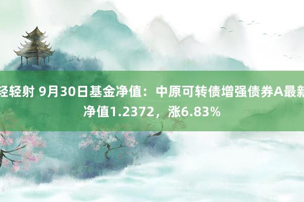 轻轻射 9月30日基金净值：中原可转债增强债券A最新净值1.2372，涨6.83%