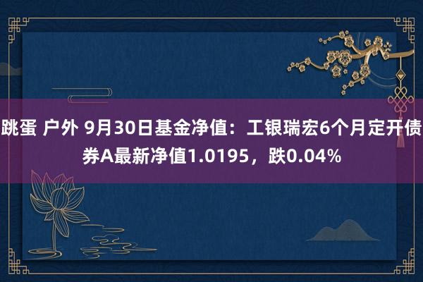 跳蛋 户外 9月30日基金净值：工银瑞宏6个月定开债券A最新净值1.0195，跌0.04%