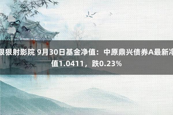 狠狠射影院 9月30日基金净值：中原鼎兴债券A最新净值1.0411，跌0.23%