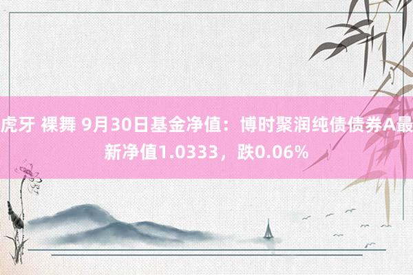 虎牙 裸舞 9月30日基金净值：博时聚润纯债债券A最新净值1.0333，跌0.06%