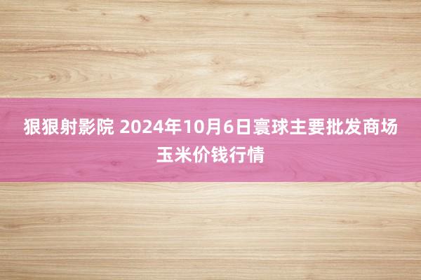 狠狠射影院 2024年10月6日寰球主要批发商场玉米价钱行情