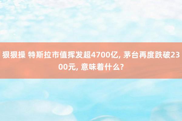 狠狠操 特斯拉市值挥发超4700亿， 茅台再度跌破2300元， 意味着什么?