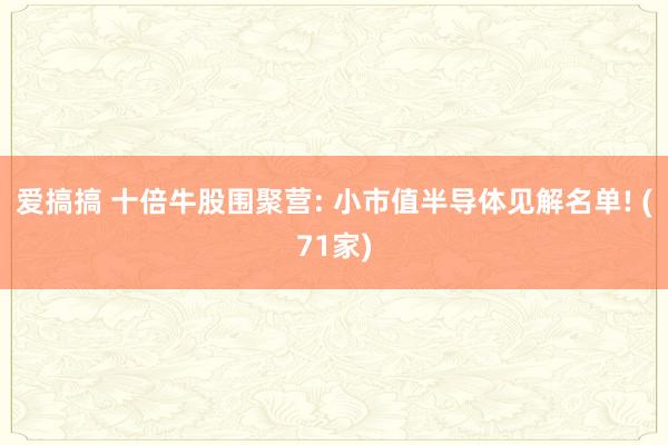 爱搞搞 十倍牛股围聚营: 小市值半导体见解名单! (71家)