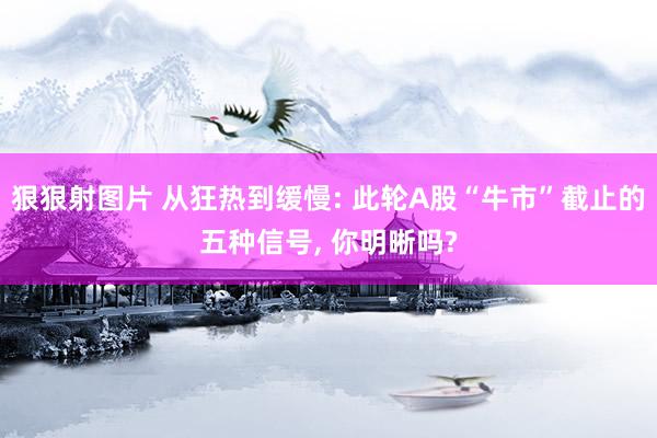 狠狠射图片 从狂热到缓慢: 此轮A股“牛市”截止的五种信号， 你明晰吗?