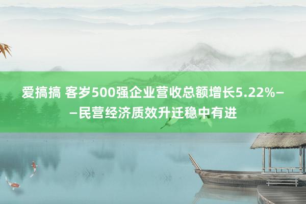 爱搞搞 客岁500强企业营收总额增长5.22%——民营经济质效升迁稳中有进