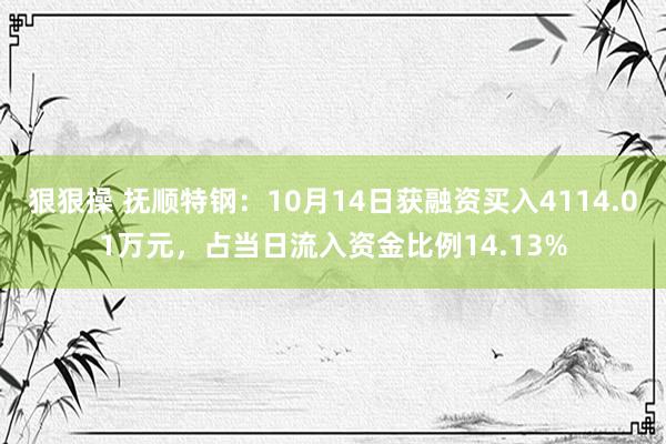 狠狠操 抚顺特钢：10月14日获融资买入4114.01万元，占当日流入资金比例14.13%