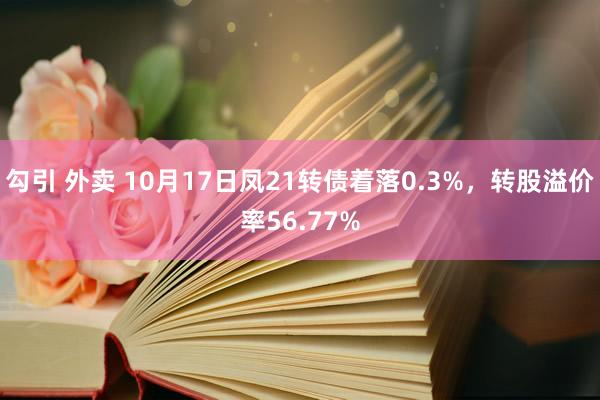 勾引 外卖 10月17日凤21转债着落0.3%，转股溢价率56.77%