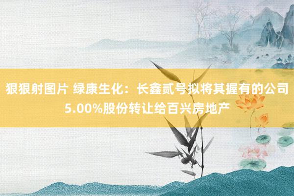 狠狠射图片 绿康生化：长鑫贰号拟将其握有的公司5.00%股份转让给百兴房地产