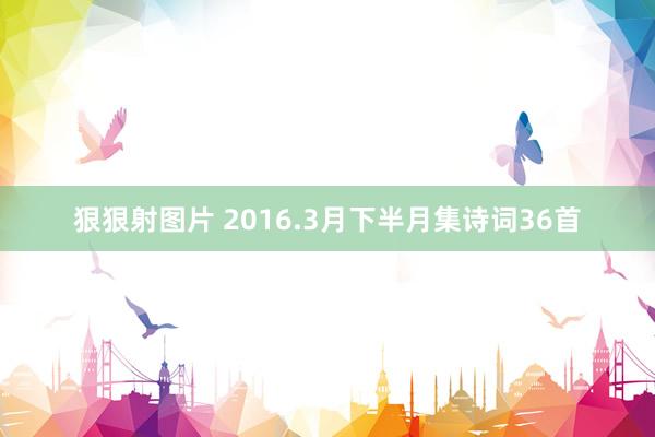 狠狠射图片 2016.3月下半月集诗词36首