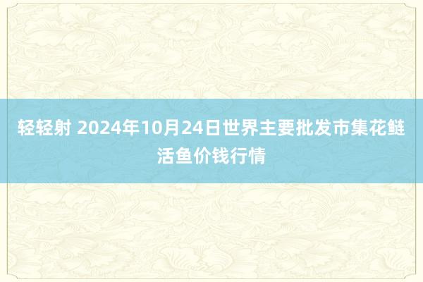 轻轻射 2024年10月24日世界主要批发市集花鲢活鱼价钱行情