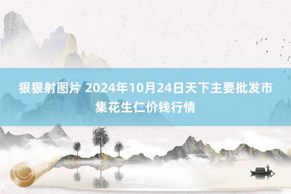 狠狠射图片 2024年10月24日天下主要批发市集花生仁价钱行情