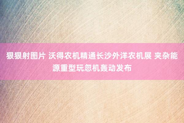 狠狠射图片 沃得农机精通长沙外洋农机展 夹杂能源重型玩忽机轰动发布