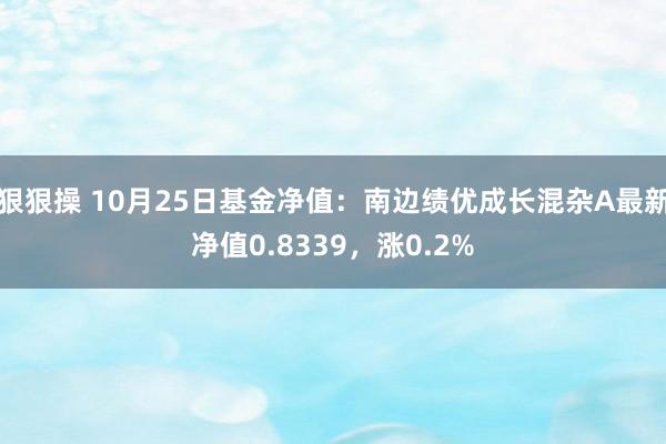 狠狠操 10月25日基金净值：南边绩优成长混杂A最新净值0.8339，涨0.2%