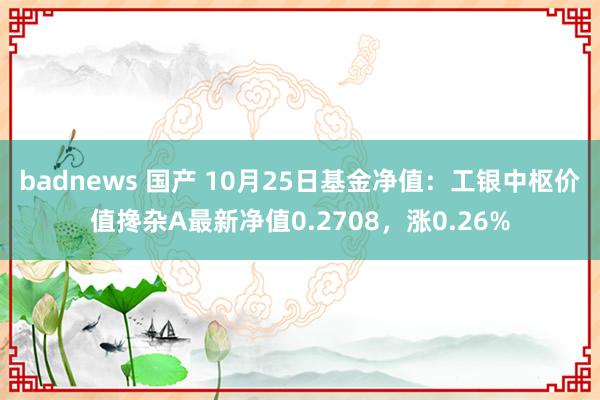 badnews 国产 10月25日基金净值：工银中枢价值搀杂A最新净值0.2708，涨0.26%