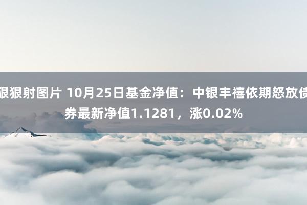 狠狠射图片 10月25日基金净值：中银丰禧依期怒放债券最新净值1.1281，涨0.02%