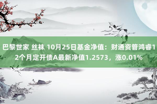 巴黎世家 丝袜 10月25日基金净值：财通资管鸿睿12个月定开债A最新净值1.2573，涨0.01%