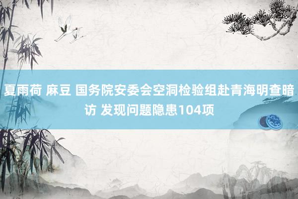 夏雨荷 麻豆 国务院安委会空洞检验组赴青海明查暗访 发现问题隐患104项