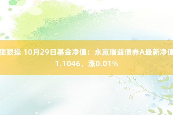 狠狠操 10月29日基金净值：永赢瑞益债券A最新净值1.1046，涨0.01%