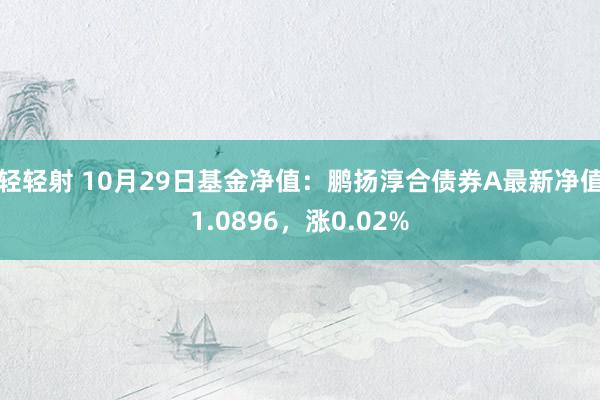 轻轻射 10月29日基金净值：鹏扬淳合债券A最新净值1.0896，涨0.02%