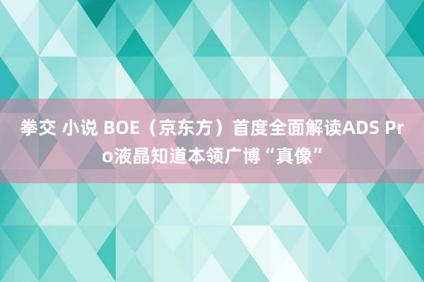 拳交 小说 BOE（京东方）首度全面解读ADS Pro液晶知道本领广博“真像”